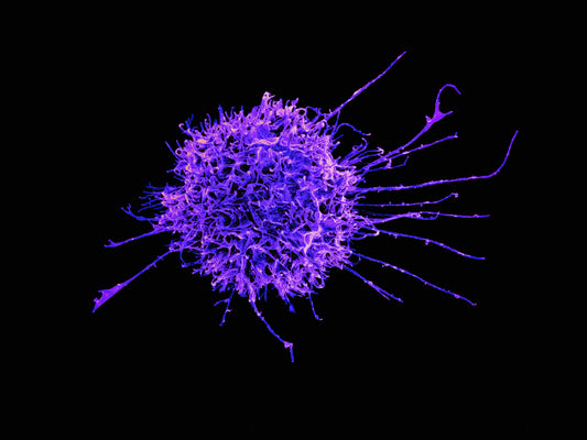 Strengthening Your Immunity: Practical Steps for Everyday Life - Powered by VitalNest